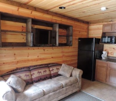 A cozy cabin living area with wood-paneled walls. It features a couch with a wildlife-themed blanket, a TV mounted on a rustic wooden shelf, and a kitchenette including a black refrigerator, a microwave, and a coffee maker.