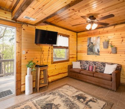 Cozy cabin living room with wood-paneled walls and ceiling, a brown couch with pillows, wall-mounted TV, ceiling fan, decorative plants, and a large window and door with views of trees outside.